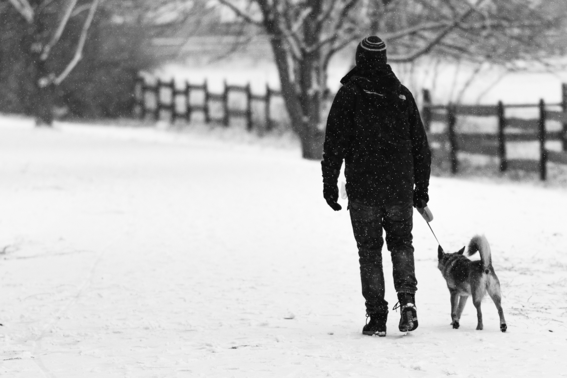 winter, man, male, street, outdoor, bw, black&white © André Schunert